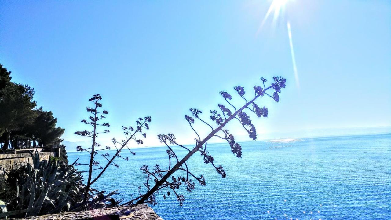 Znjanski Vidici Tonka Split Exteriér fotografie